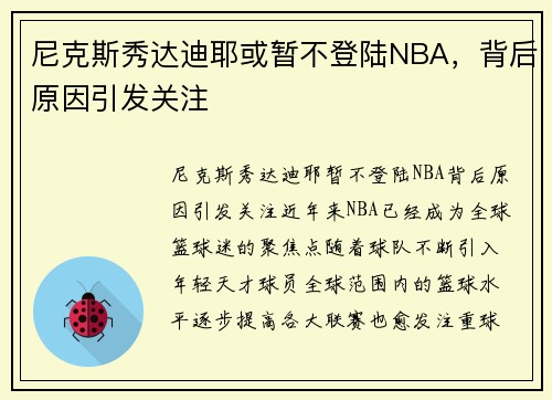 尼克斯秀达迪耶或暂不登陆NBA，背后原因引发关注